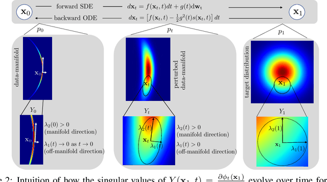 Figure 2 for On gauge freedom, conservativity and intrinsic dimensionality estimation in diffusion models
