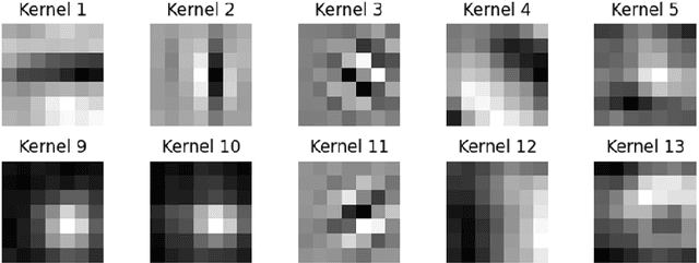 Figure 1 for In-Model Merging for Enhancing the Robustness of Medical Imaging Classification Models