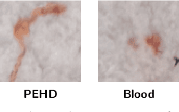 Figure 1 for Hyperspectral Imaging for Identifying Foreign Objects on Pork Belly