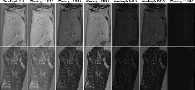 Figure 3 for Hyperspectral Imaging for Identifying Foreign Objects on Pork Belly