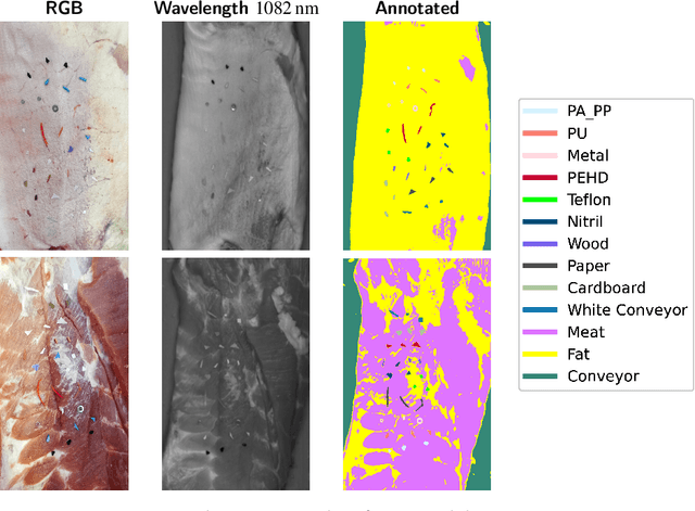 Figure 4 for Hyperspectral Imaging for Identifying Foreign Objects on Pork Belly