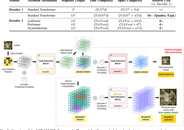 Figure 2 for MIRAM: Masked Image Reconstruction Across Multiple Scales for Breast Lesion Risk Prediction