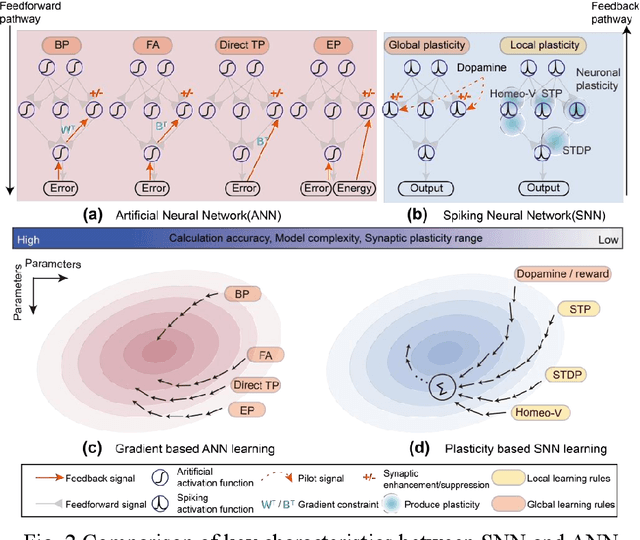 Figure 2 for Research Advances and New Paradigms for Biology-inspired Spiking Neural Networks