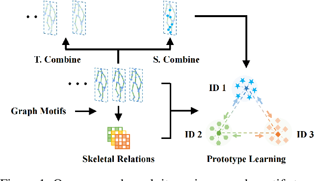 Figure 1 for Motif Guided Graph Transformer with Combinatorial Skeleton Prototype Learning for Skeleton-Based Person Re-Identification