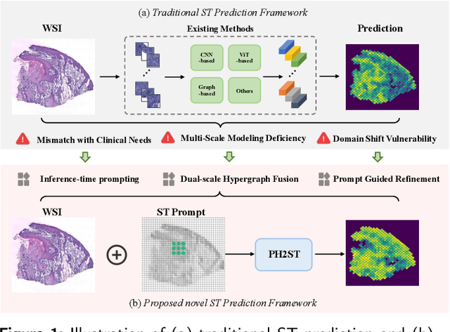 Figure 1 for ST-Prompt Guided Histological Hypergraph Learning for Spatial Gene Expression Prediction