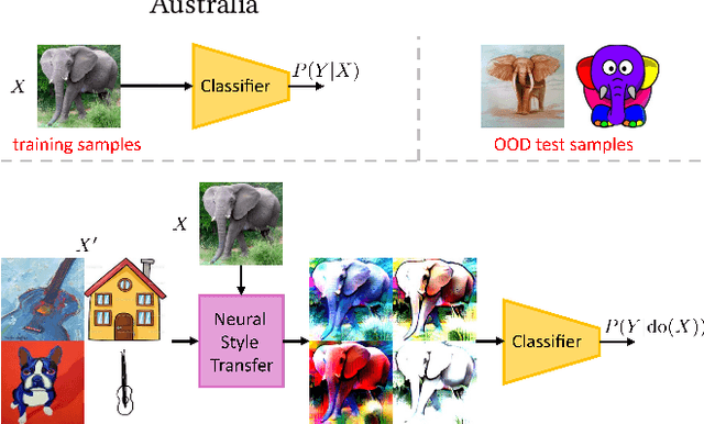 Figure 1 for Front-door Adjustment via Style Transfer for Out-of-distribution Generalisation