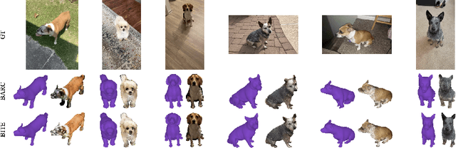 Figure 3 for Animal Avatars: Reconstructing Animatable 3D Animals from Casual Videos