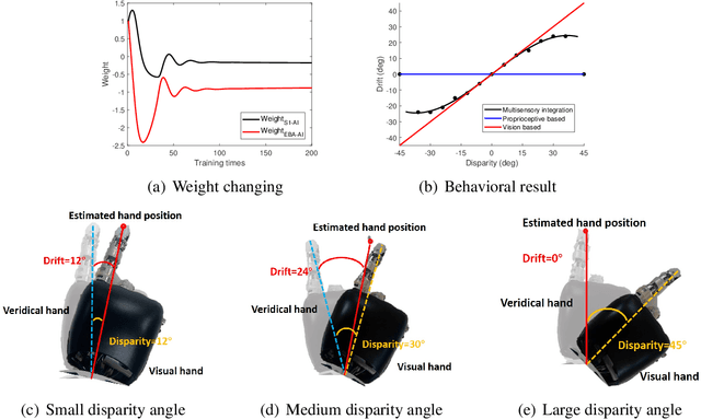 Figure 4 for Brain-inspired bodily self-perception model that replicates the rubber hand illusion