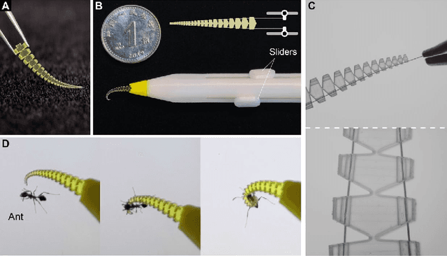 Figure 4 for Bioinspired Soft Spiral Robots for Versatile Grasping and Manipulation