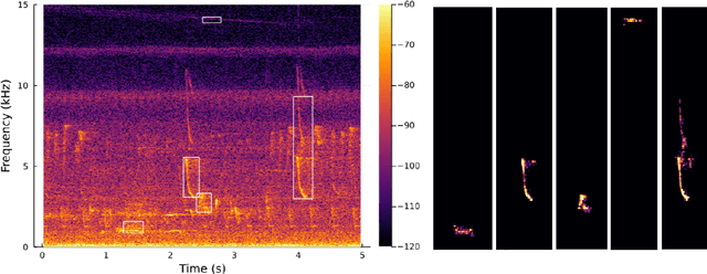 Figure 3 for Semi-supervised classification of bird vocalizations