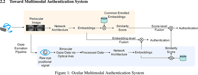 Figure 1 for Ocular Authentication: Fusion of Gaze and Periocular Modalities