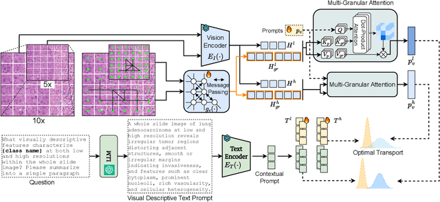 Figure 3 for MGPATH: Vision-Language Model with Multi-Granular Prompt Learning for Few-Shot WSI Classification