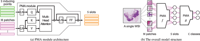 Figure 2 for Slot-Mixup with Subsampling: A Simple Regularization for WSI Classification
