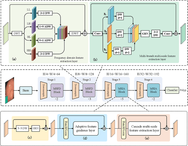 Figure 3 for DFE-IANet: A Method for Polyp Image Classification Based on Dual-domain Feature Extraction and Interaction Attention