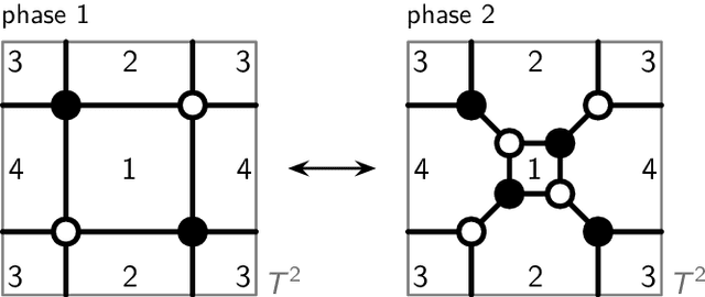 Figure 3 for Unsupervised Machine Learning Techniques for Exploring Tropical Coamoeba, Brane Tilings and Seiberg Duality