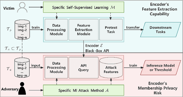 Figure 1 for When Better Features Mean Greater Risks: The Performance-Privacy Trade-Off in Contrastive Learning