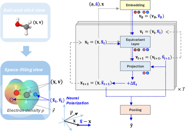 Figure 3 for Neural Polarization: Toward Electron Density for Molecules by Extending Equivariant Networks