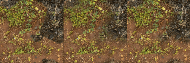 Figure 3 for GPU-Friendly Laplacian Texture Blending