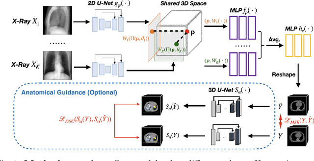 Figure 1 for CT Reconstruction from Few Planar X-rays with Application towards Low-resource Radiotherapy