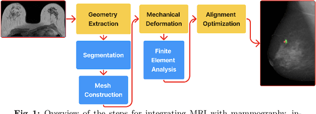 Figure 1 for MRI Breast tissue segmentation using nnU-Net for biomechanical modeling