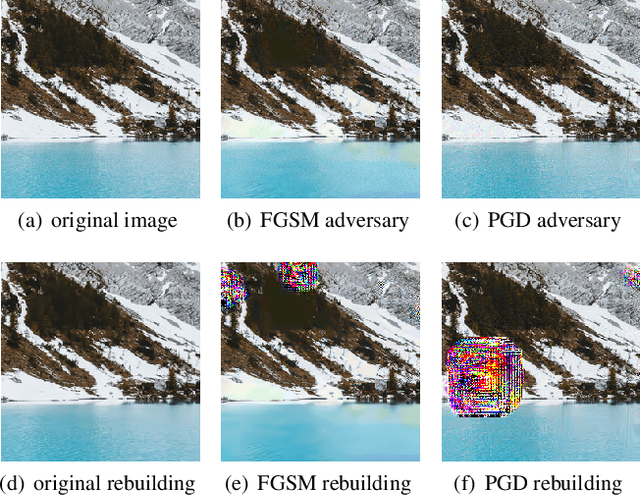 Figure 2 for Attack and Defense Analysis of Learned Image Compression