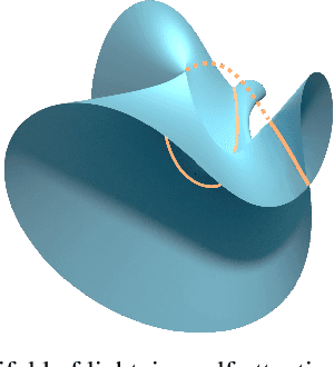 Figure 1 for Critical Points of Degenerate Metrics on Algebraic Varieties: A Tale of Overparametrization