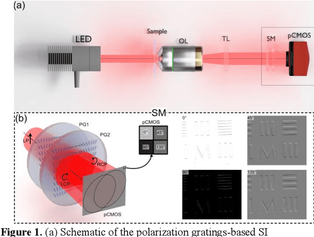 Figure 1 for OSI-flex: Optimization-Based Shearing Interferometry for Joint Phase and Shear Estimation Using a Flexible Open-Source Framework
