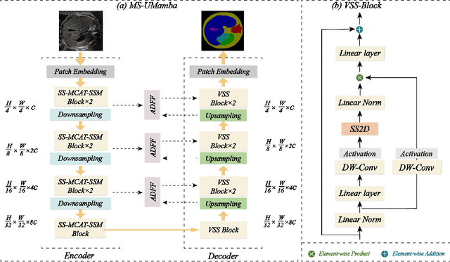 Figure 1 for MS-UMamba: An Improved Vision Mamba Unet for Fetal Abdominal Medical Image Segmentation