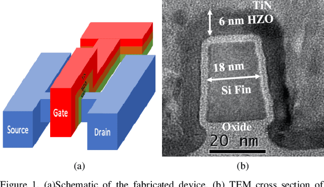 Figure 1 for Neuromorphic Computing with Deeply Scaled Ferroelectric FinFET in Presence of Process Variation, Device Aging and Flicker Noise