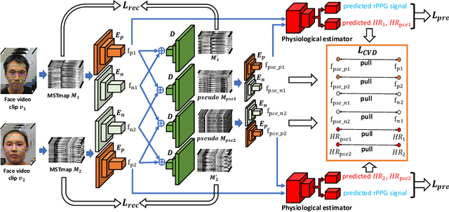 Figure 1 for Video-based Remote Physiological Measurement via Cross-verified Feature Disentangling