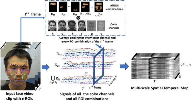 Figure 3 for Video-based Remote Physiological Measurement via Cross-verified Feature Disentangling