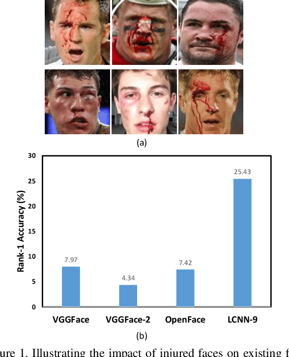 Figure 1 for Subclass Contrastive Loss for Injured Face Recognition