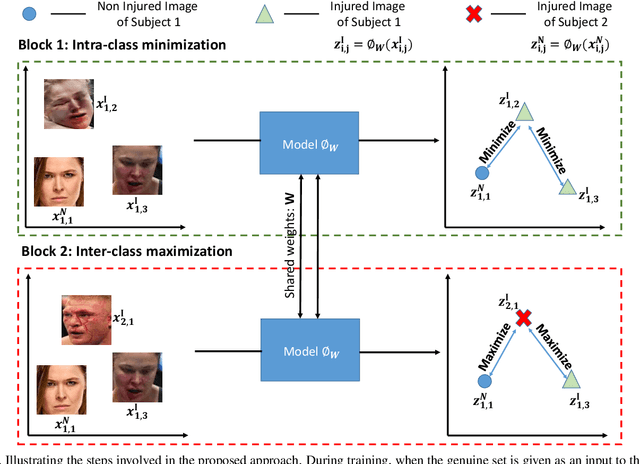 Figure 3 for Subclass Contrastive Loss for Injured Face Recognition