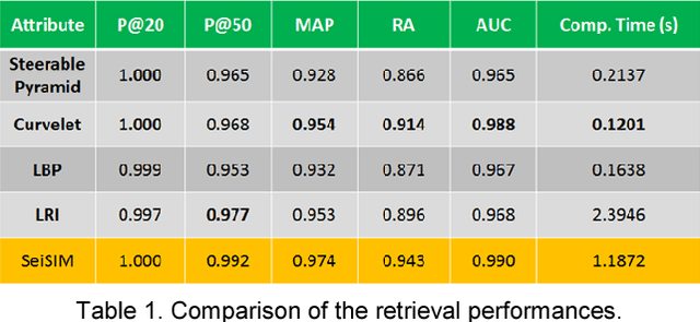 Figure 1 for SalSi: A new seismic attribute for salt dome detection