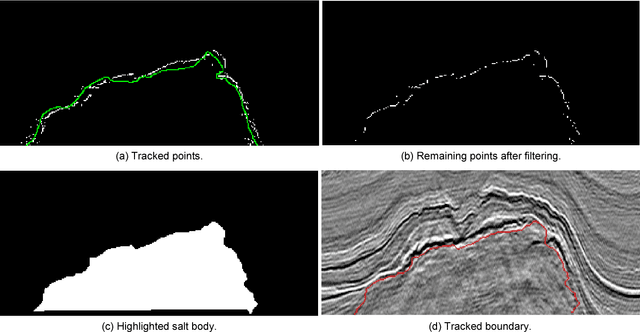 Figure 3 for SalSi: A new seismic attribute for salt dome detection