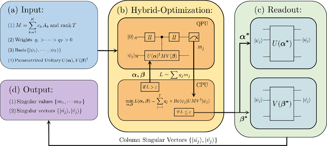 Figure 1 for Variational Quantum Singular Value Decomposition