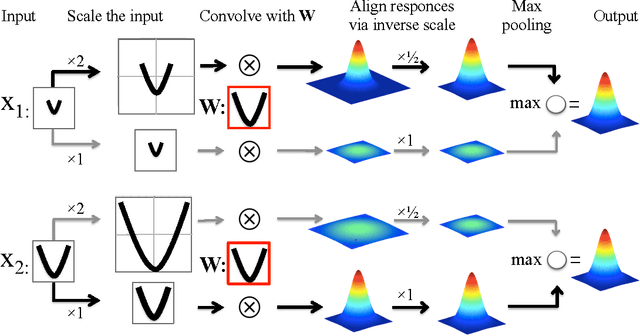 Figure 3 for Locally Scale-Invariant Convolutional Neural Networks