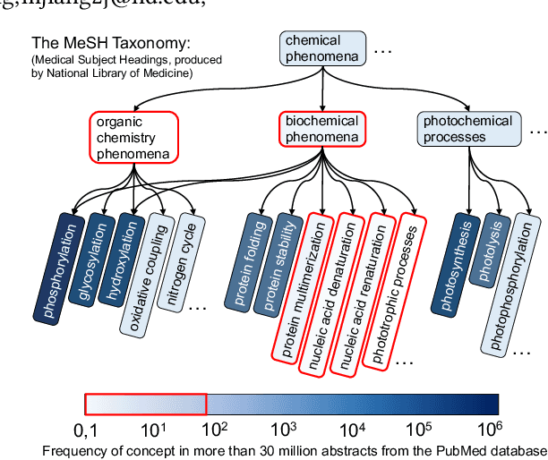 Figure 1 for Enhancing Taxonomy Completion with Concept Generation via Fusing Relational Representations