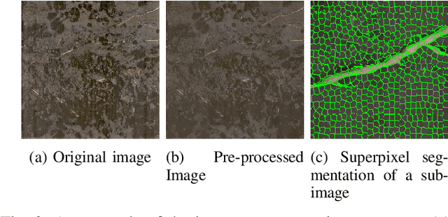 Figure 2 for Root Identification in Minirhizotron Imagery with Multiple Instance Learning