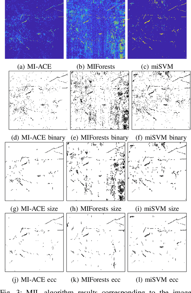 Figure 3 for Root Identification in Minirhizotron Imagery with Multiple Instance Learning
