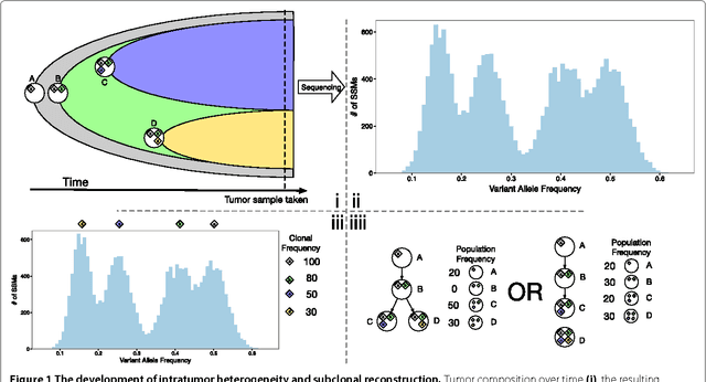 Figure 1 for Reconstructing subclonal composition and evolution from whole genome sequencing of tumors