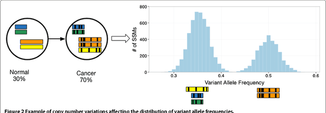 Figure 3 for Reconstructing subclonal composition and evolution from whole genome sequencing of tumors