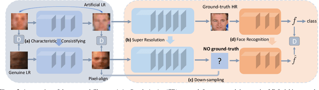 Figure 3 for Characteristic Regularisation for Super-Resolving Face Images