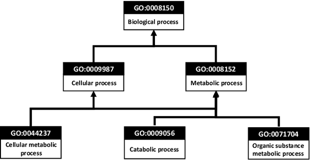 Figure 2 for Positive Feature Values Prioritized Hierarchical Redundancy Eliminated Tree Augmented Naive Bayes Classifier for Hierarchical Feature Spaces