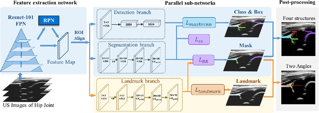 Figure 4 for Joint Landmark and Structure Learning for Automatic Evaluation of Developmental Dysplasia of the Hip