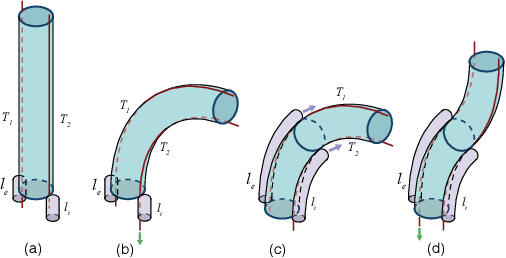 Figure 2 for A Dexterous Tip-extending Robot with Variable-length Shape-locking