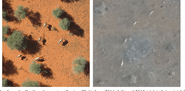 Figure 1 for Half a Percent of Labels is Enough: Efficient Animal Detection in UAV Imagery using Deep CNNs and Active Learning