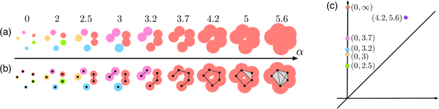 Figure 2 for A Kernel for Multi-Parameter Persistent Homology