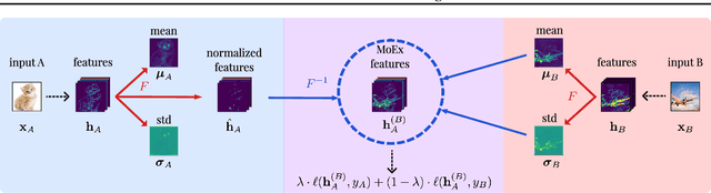 Figure 1 for On Feature Normalization and Data Augmentation