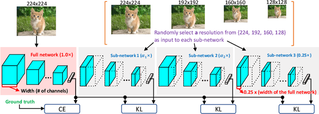 Figure 3 for A closer look at network resolution for efficient network design